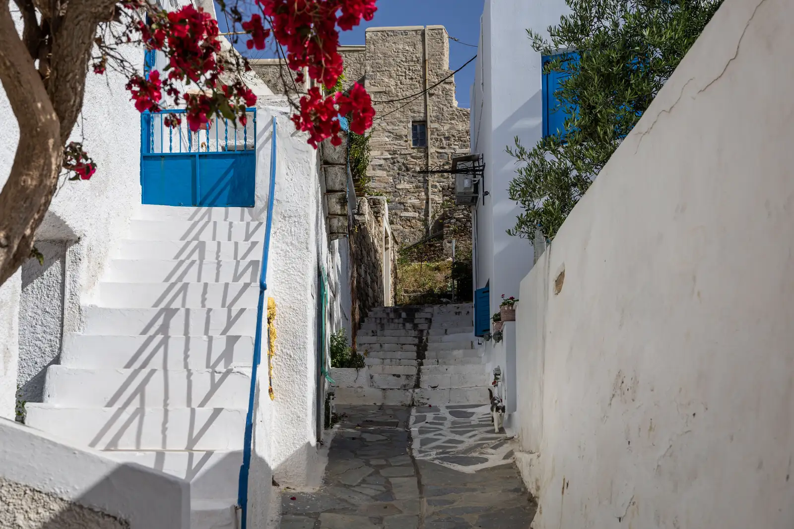 Naxos Town